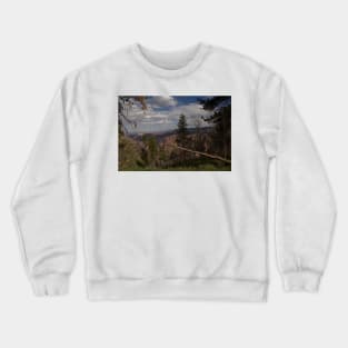 WGC_4380 Crewneck Sweatshirt